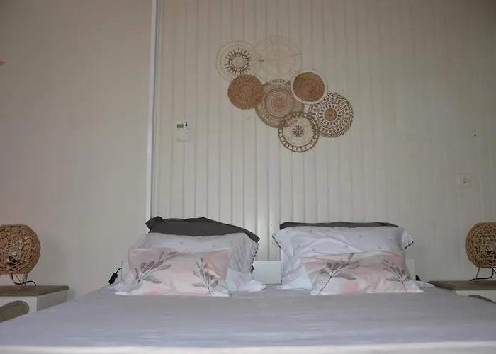 Le Fleuri Mld 蒙尼斯帕勒特