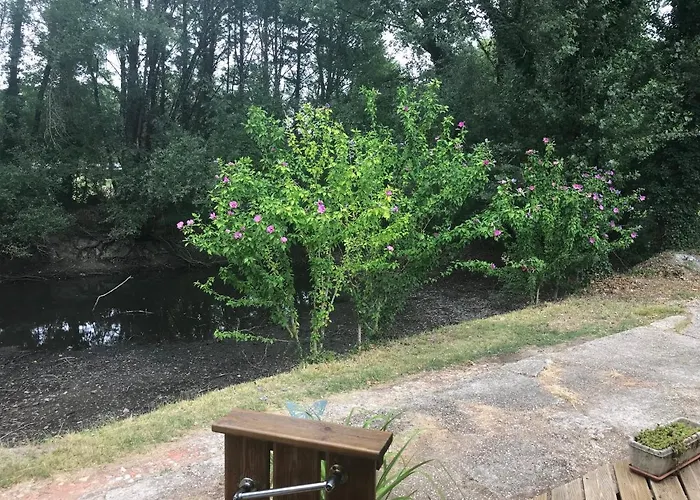 Le Fleuri Mld 公寓 *